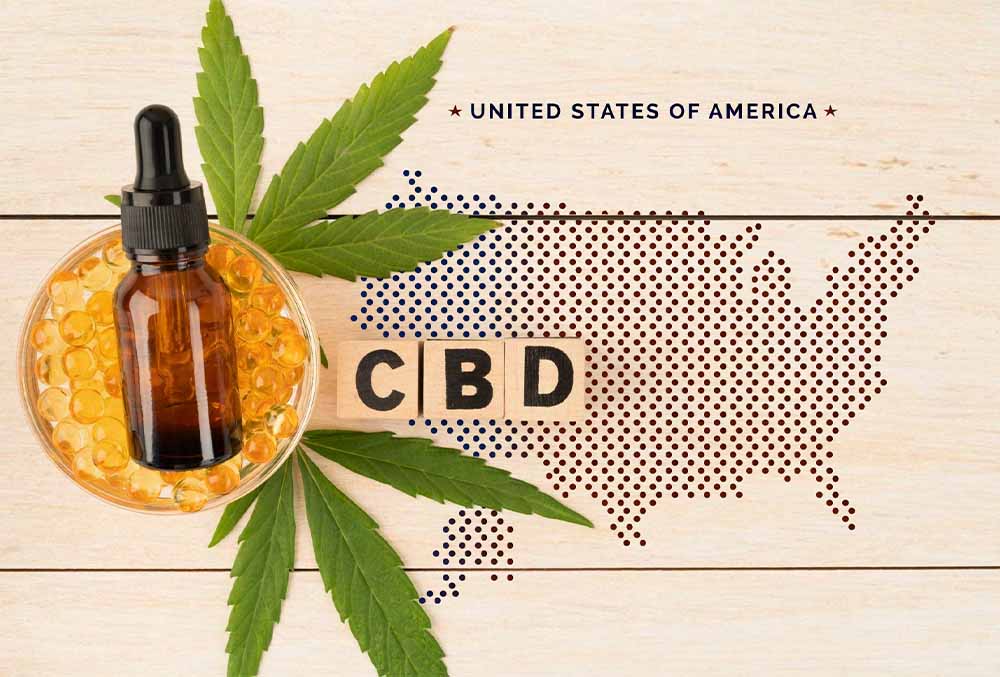 The Legality of CBD & THC in the USA: All You Need to Know!