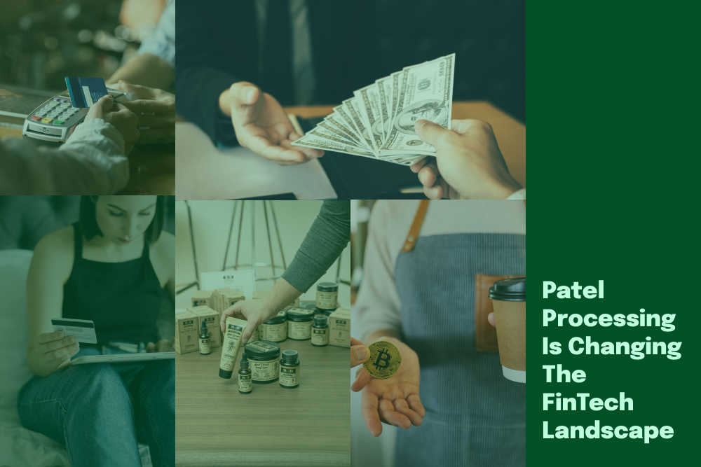 5 Ways in Which Patel Processing is Changing the FinTech Landscape